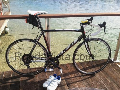 Reid Falco Elite opinión y ficha técnica